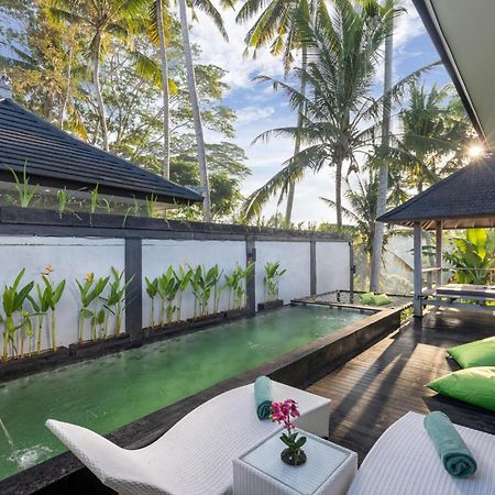Capung Asri Eco Luxury Resort With Private Pool Villas Bedulu Eksteriør billede