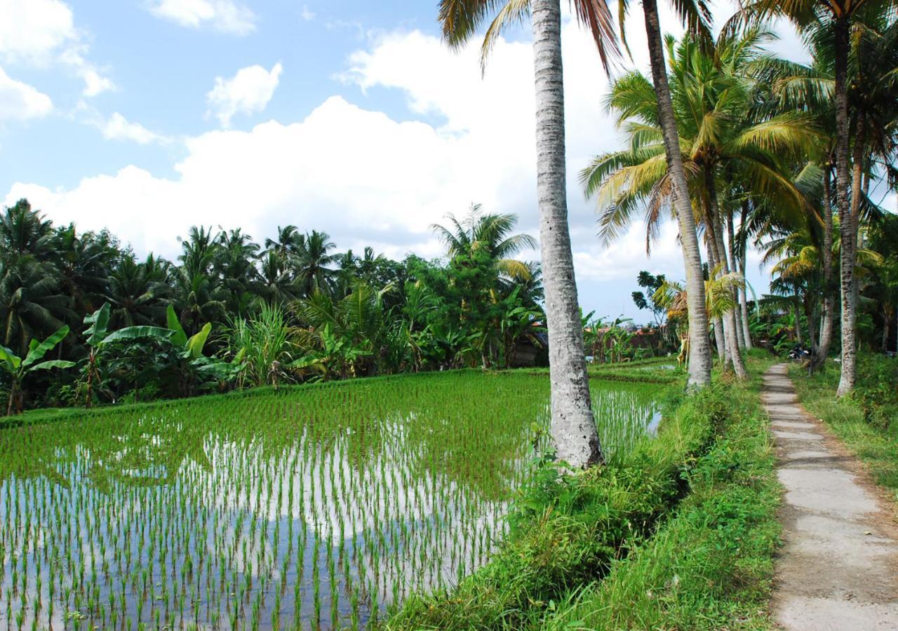 Capung Asri Eco Luxury Resort With Private Pool Villas Bedulu Eksteriør billede
