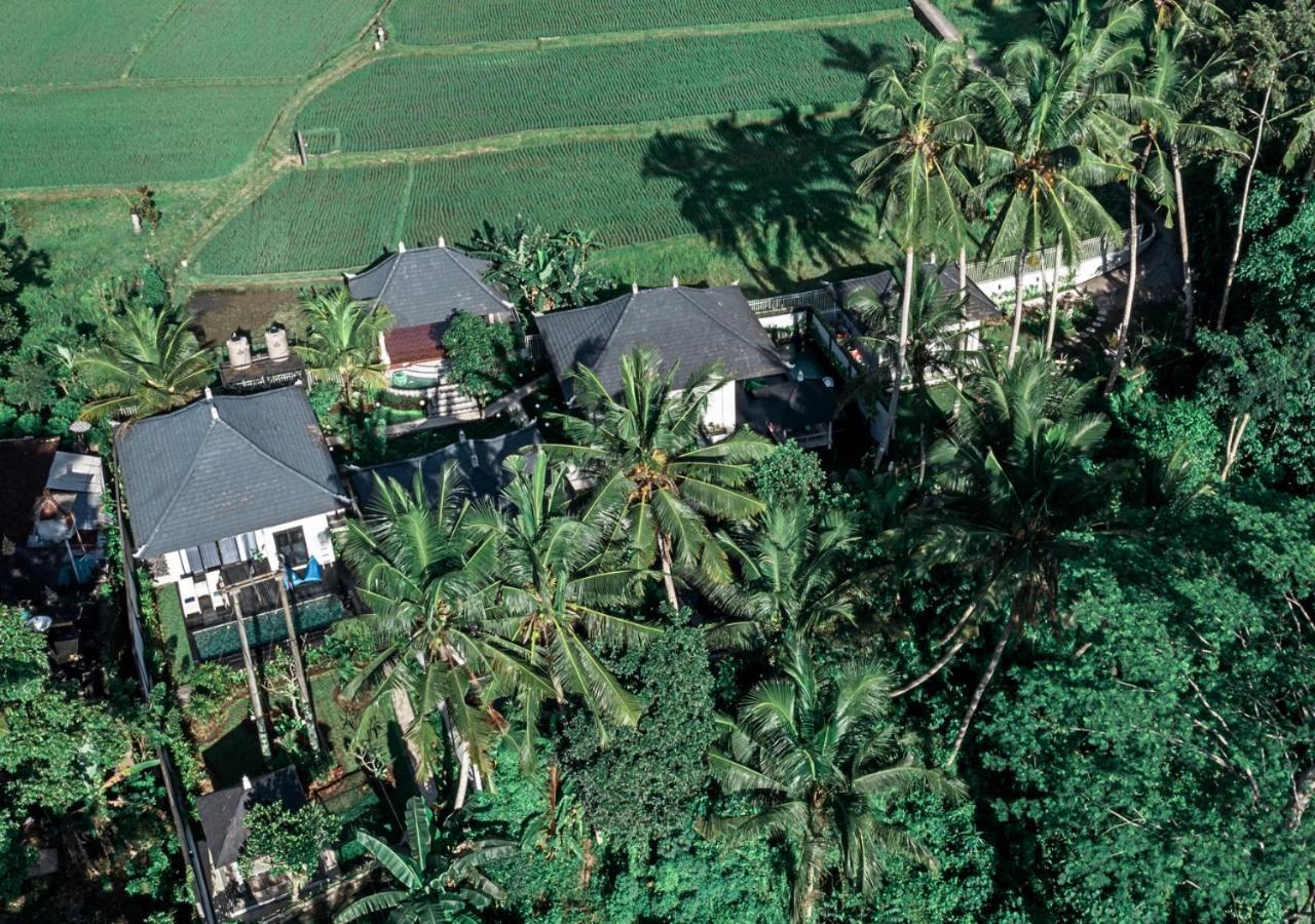 Capung Asri Eco Luxury Resort With Private Pool Villas Bedulu Eksteriør billede