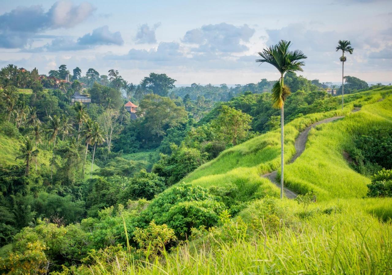 Capung Asri Eco Luxury Resort With Private Pool Villas Bedulu Eksteriør billede